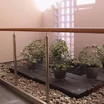 El Roble Palentino