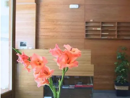 El Roble Palentino 2*