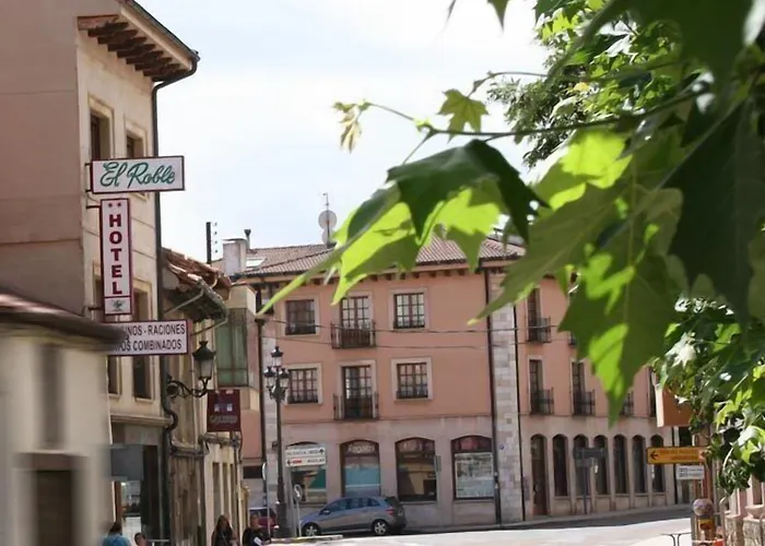 El Roble Palentino Hotel Cervera De Pisuerga